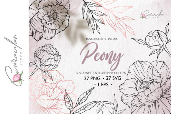 Download Peonies Line Drawing, Floral Line Art - Art Collection