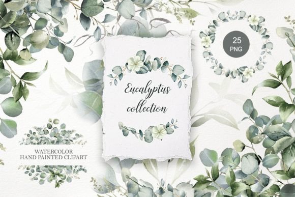 Download Eucalyptus Clipart. Watercolor Greenery - Art Collection