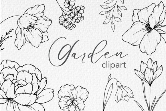Download FLOWERS LINE DRAWING, Floral Line Art - Art Collection